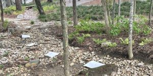 Mockup of stones inserted into creek bed