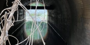 Photo of a tributary of the South River flowing through a tunnel under Memorial Drive