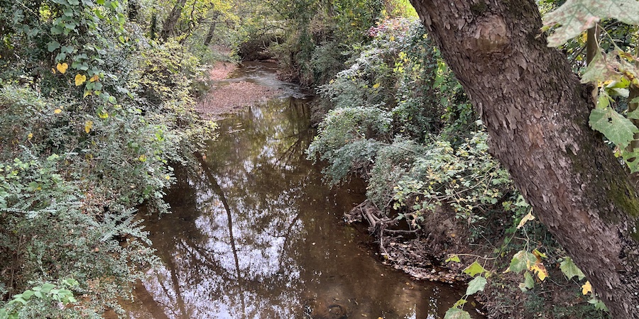 Photo of the South River tributary running through Browns Mill