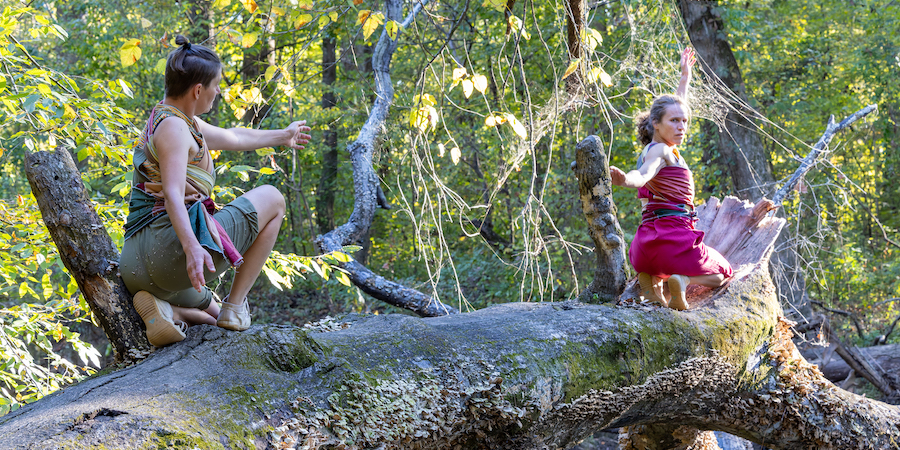 Photo of two dancers performing on a tree that has fallen across water. Photo by John Ramspott
